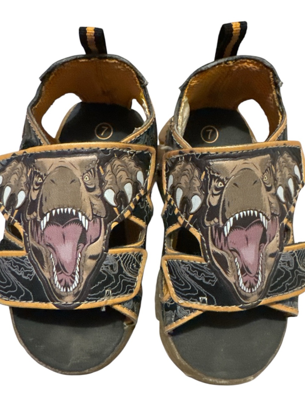 Kids T-Rex Graphic Sandals in Black and Tan